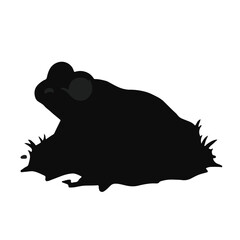 Burrowing Frog Illustration