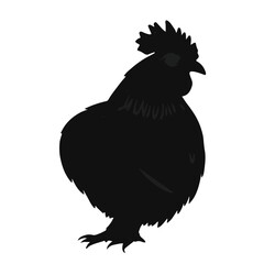 Buff Orpington Chicken Illustration