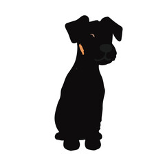 Fototapeta premium Boxing Animal Illustration