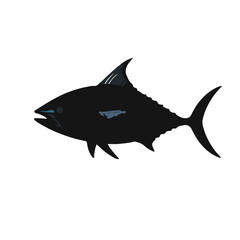 Bluefin Tuna Illustration
