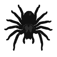 Black Tarantula Symbol