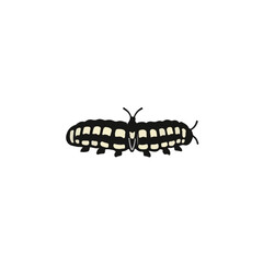 Animation of Black Swallowtail Caterpillar