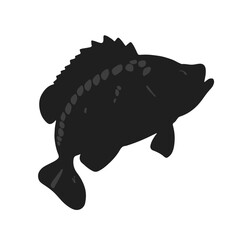 Black Crappie Fish Illustration