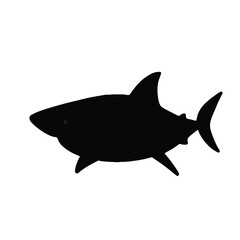 Black Bull Shark