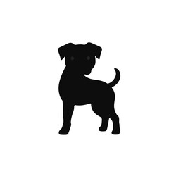 Naklejka premium Black Boxer Dog