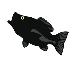 Black Bass Animal