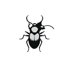 Black Aphid Animal