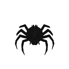 Spider Clock
