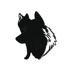 Czechoslovakian Wolfdog Animation