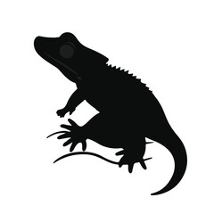 Crested Gecko Visual