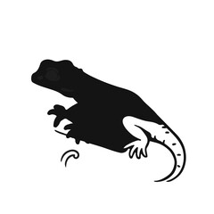 Crested Gecko Illustration