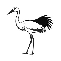 Black Crane Animal