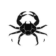 Crab-Spider Illustration