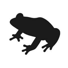 Common Frog Illustration