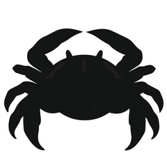 Coconut Crab Animal