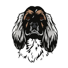 Cocker Spaniel Portrait