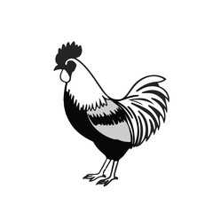 Cochin Chicken Illustration