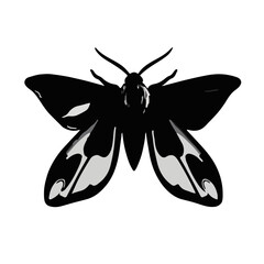 Clothes Moth Symbol
