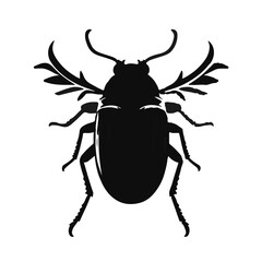 Christmas Beetle