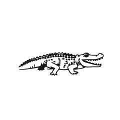 Chinese Alligator Image