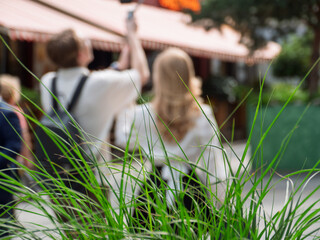 Exploring Urban Nature: Capturing Moments at a Local Cafe