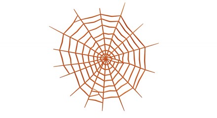 Detailed spiderweb design on white background