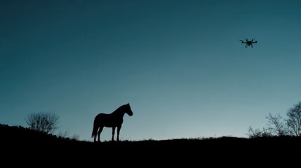 Fototapeta premium Silhouette of Horse at Dusk with Drone Above in Blue Sky