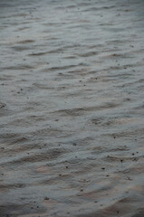 A detailed close-up showing the concentric ripples created by falling raindrops on a body of water...