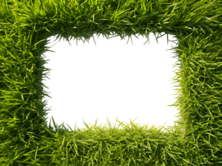 A vibrant green grass frame with a dark empty square in the center creating a natural border isolated on transparent background
