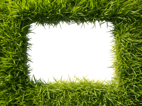 A vibrant green grass frame with a dark empty square in the center creating a natural border isolated on transparent background