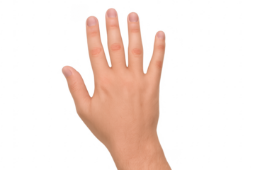 Open hand showing five fingers on transparent background