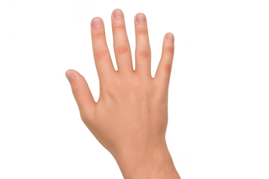 Open hand showing five fingers on transparent background