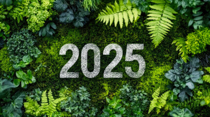 2025 new year concept for sustainable environment development goals in nature. Top view