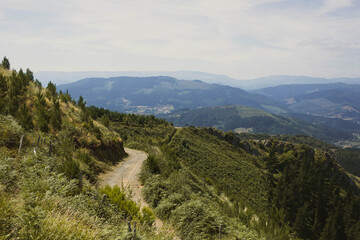Rural Mountain Road in Spain 