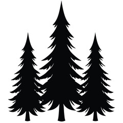 Obraz premium Black pine trees silhouette evergreen forest
