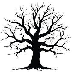 Fototapeta premium Stark bare tree silhouette black white