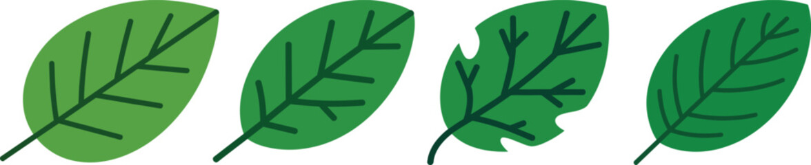 Obraz premium Four simple green leaves show aging and damage, isolated on white, transparent background