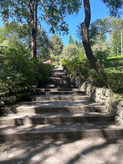 Escalones antiguos rodeados de naturaleza verde en Guatemala, fotografía de viajes con teléfono...