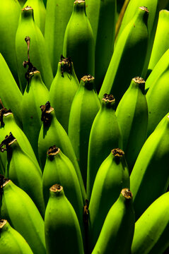 Bananas