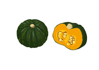 かぼちゃ イラスト ベクター 