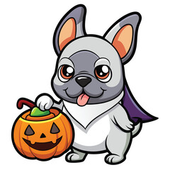 Adorable grey French bulldog in a bat costume holding a jack-o-lantern candy bucket animal