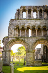 Naklejka premium ruins of an abbey, kelso abbey, kelso, east lothian, scottish borders, scotland, uk 