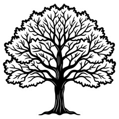 Obraz premium Stylized tree silhouette with intricate branches and foliage, isolated on white background