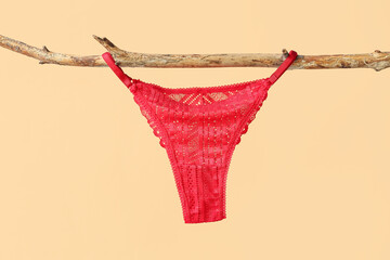 Stylish female panties hanging on tree branch against color background