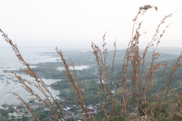 Scenic photographic view of coastal landscape for wall art and travel blog serene rustic style