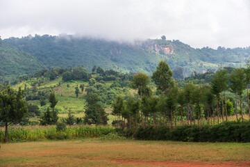Landscape shot highlighting the lush green scenery near the african rift valley in Kenya