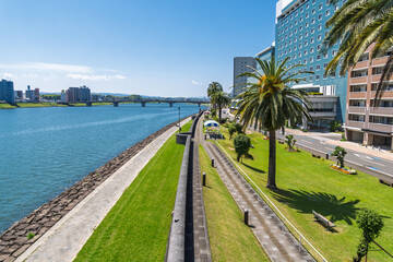 宮崎 大淀川河畔 橘公園 並木道の風景