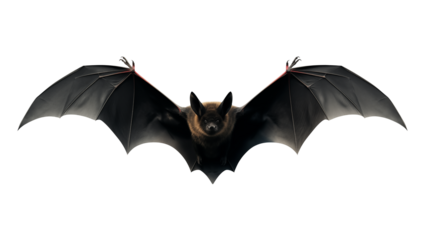 A stunning bat with outstretched wings, a symbol of mystery and the night, perfect for Halloween designs, spooky themes, and fantasy projects