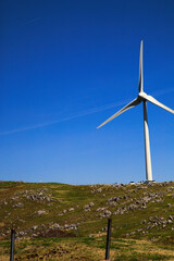 そびえ立つ風車