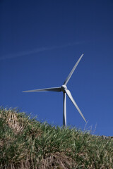 そびえ立つ風車